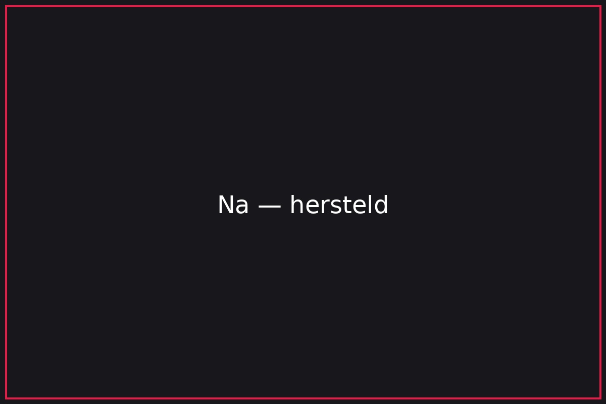 Auto na schadeherstel